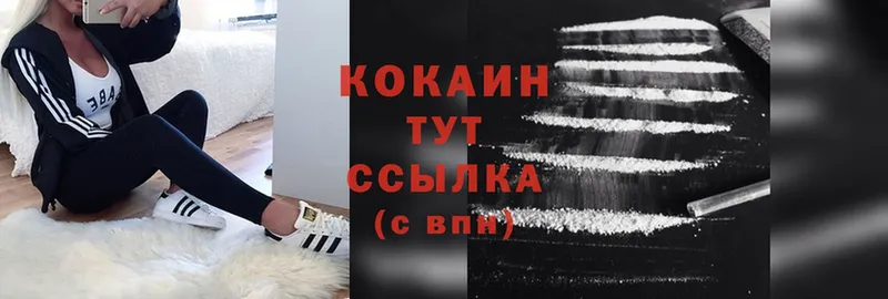 наркота  Прокопьевск  mega маркетплейс  Cocaine Fish Scale 